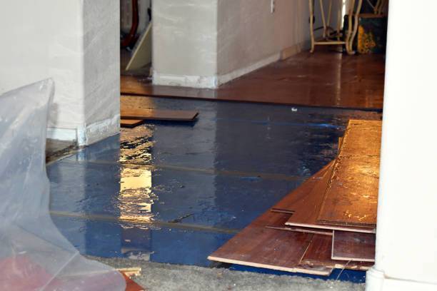 Professional Basement Flood Cleanup technician working in North Bend, OR